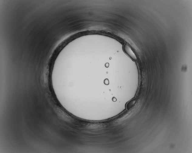 X0000103331021200809261156