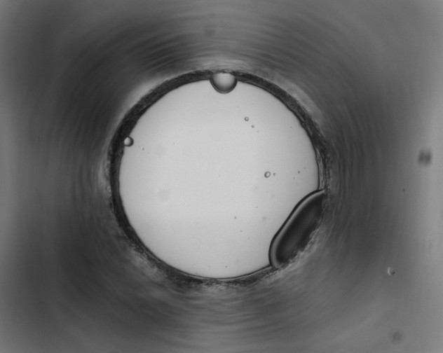 X0000103331022200809261156