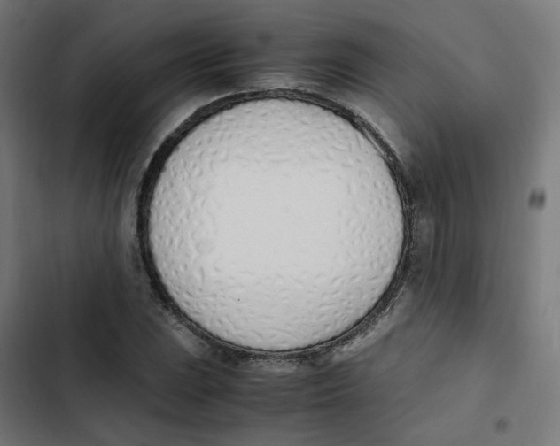 X0000103331023200809261156