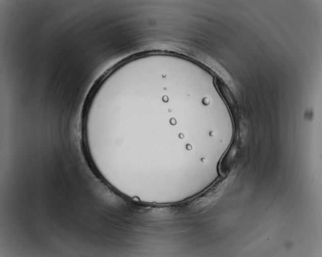 X0000103331028200809261156