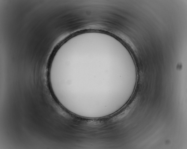 X0000103331029200809261156