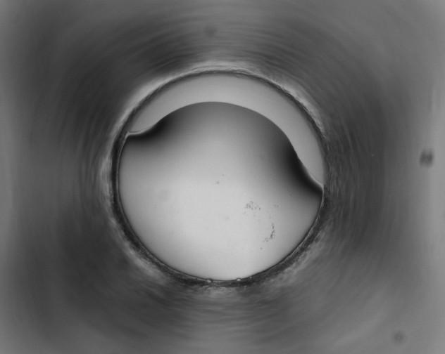 X0000103331030200809261156