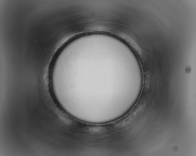 X0000103331031200809261156