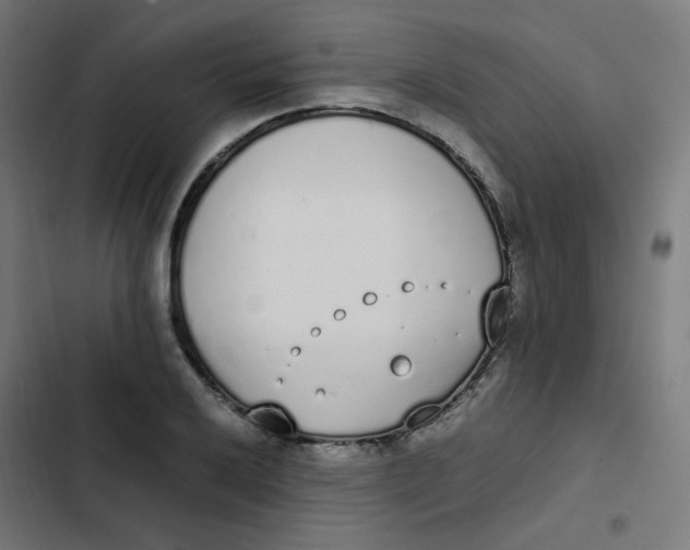 X0000103331032200809261156