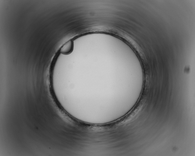 X0000103331034200809261156