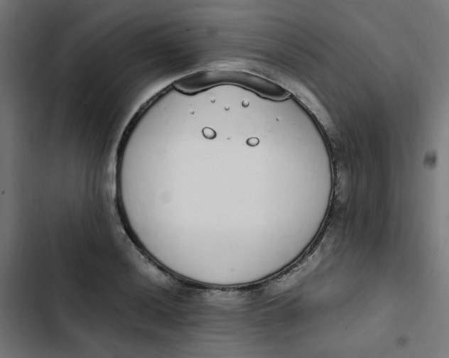 X0000103331036200809261156