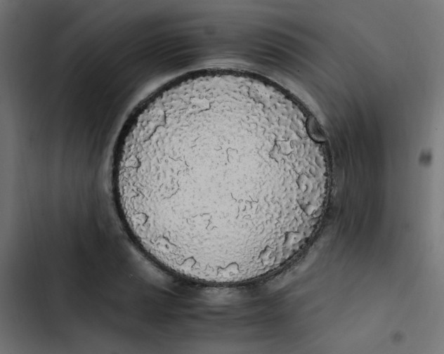 X0000103331037200809261156