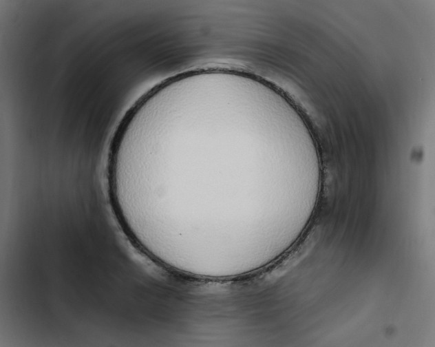 X0000103331038200809261156