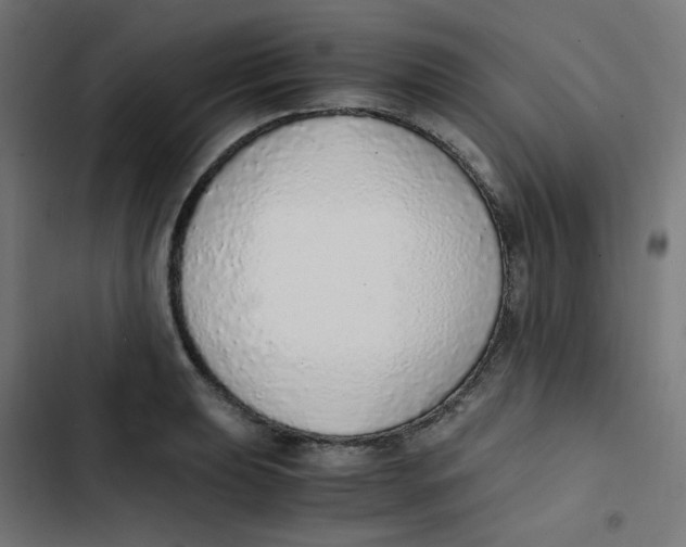 X0000103331039200809261156