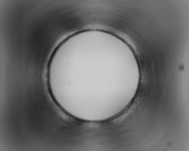 X0000103331040200809261156