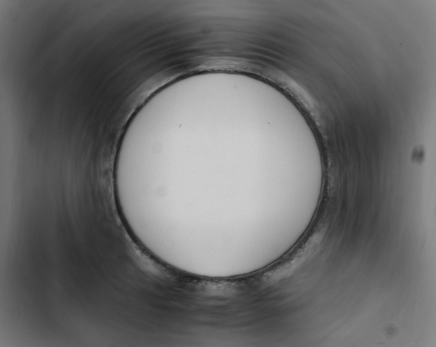 X0000103331041200809261156