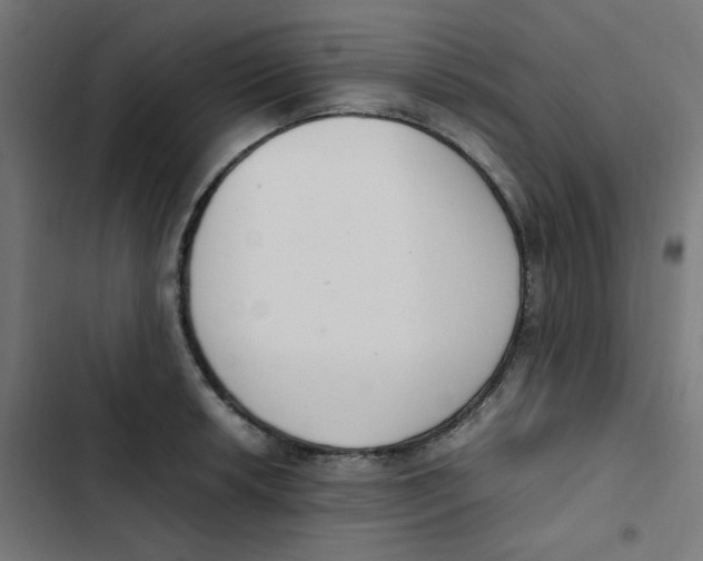 X0000103331042200809261156