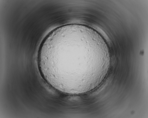 X0000103331043200809261156