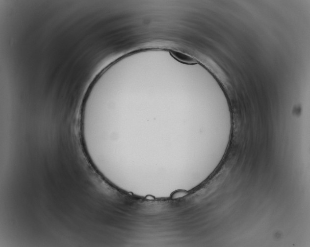 X0000103331044200809261156