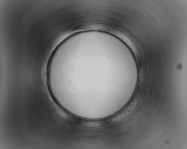 X0000103331047200809261156