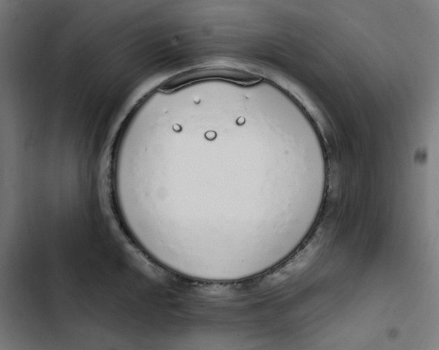 X0000103331048200809261156