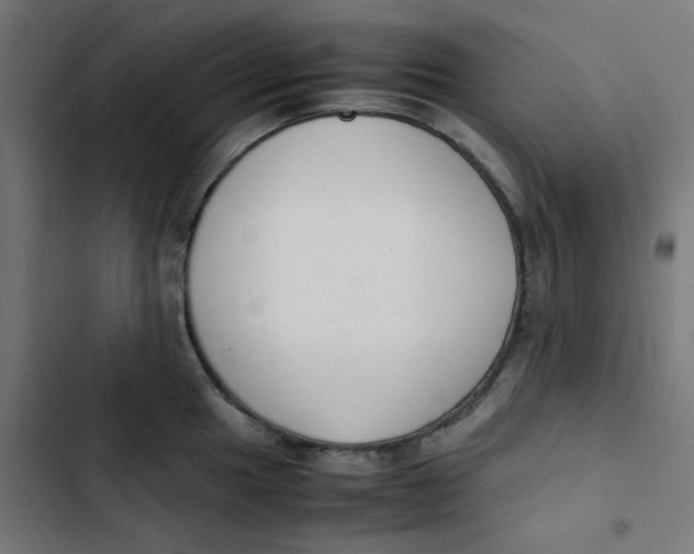 X0000103331049200809261156