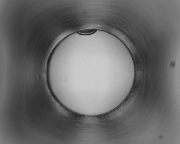 X0000103331050200809261156