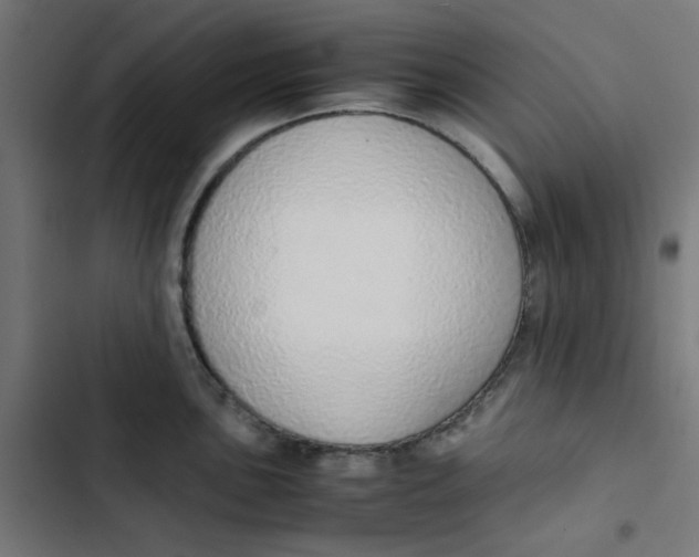 X0000103331051200809261156