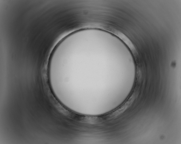 X0000103331052200809261156