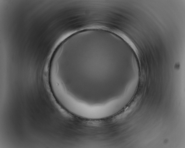 X0000103331053200809261156