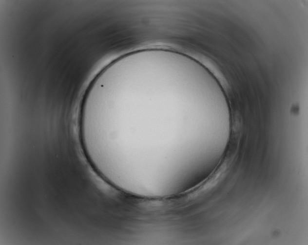 X0000103331054200809261156