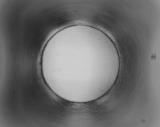 X0000103331056200809261156