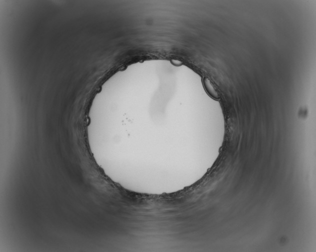 X0000103331057200809261156