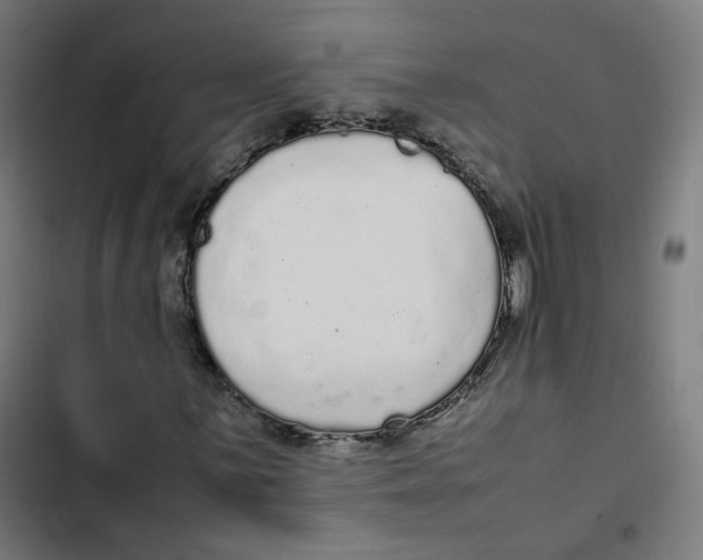 X0000103331059200809261156