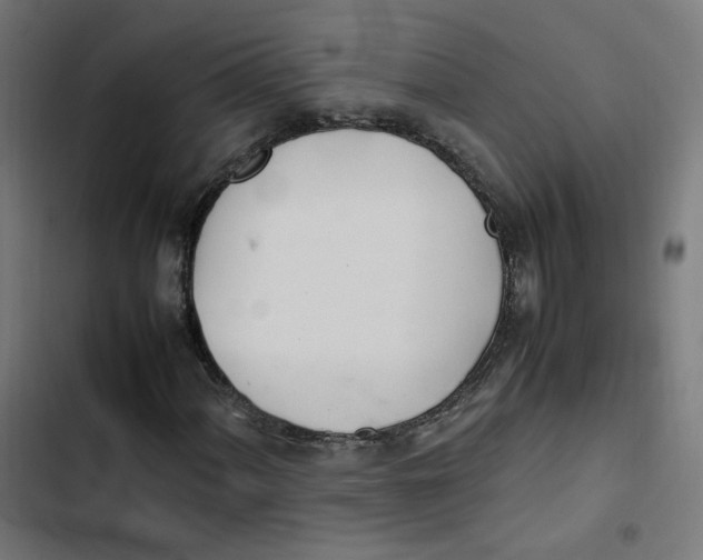 X0000103331060200809261155