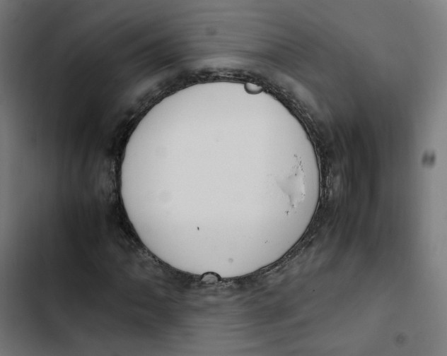 X0000103331062200809261155