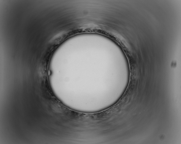 X0000103331063200809261155