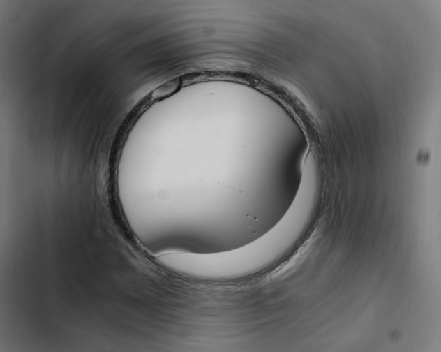 X0000103331065200809261155