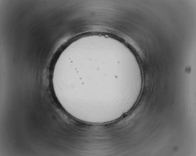 X0000103331067200809261155