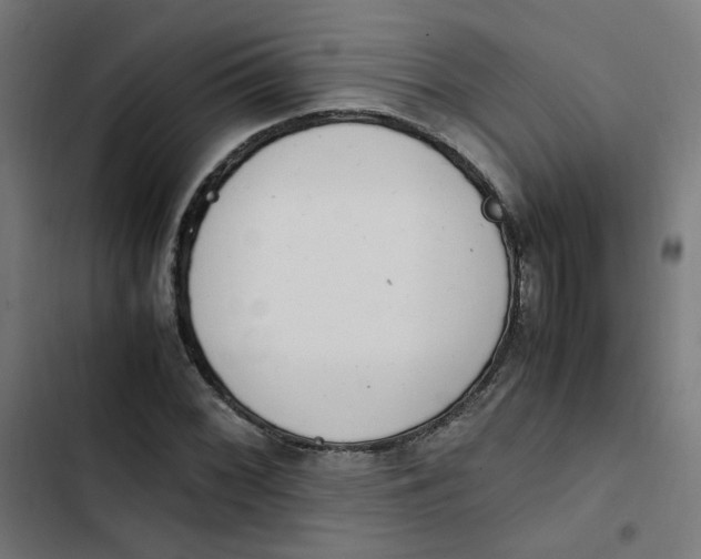 X0000103331068200809261155