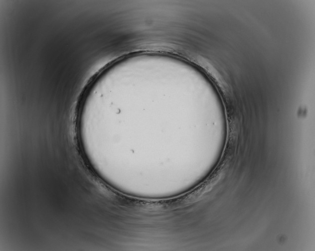 X0000103331071200809261155