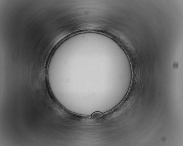 X0000103331073200809261155