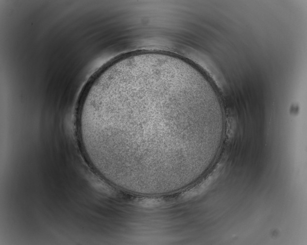 X0000103331074200809261155