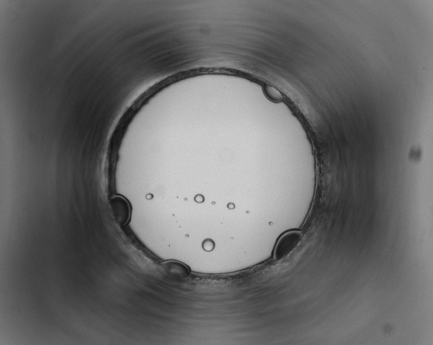 X0000103331076200809261155