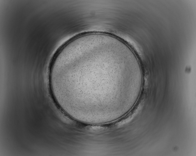 X0000103331077200809261155