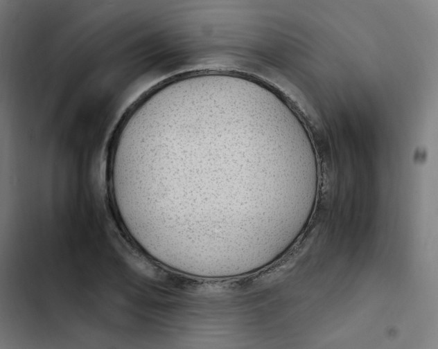 X0000103331078200809261155