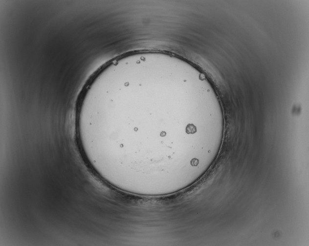 X0000103331079200809261155