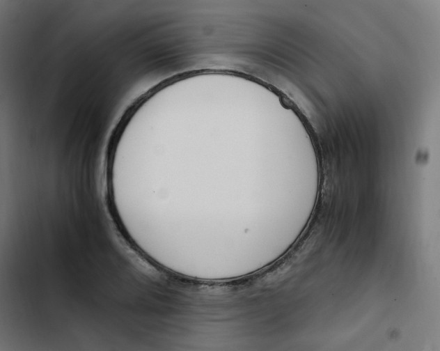 X0000103331080200809261155