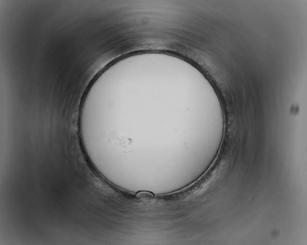 X0000103331081200809261155