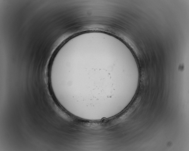 X0000103331082200809261155