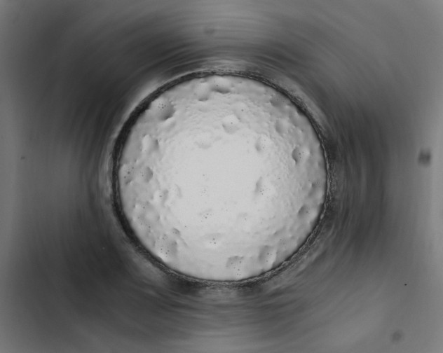 X0000103331083200809261155