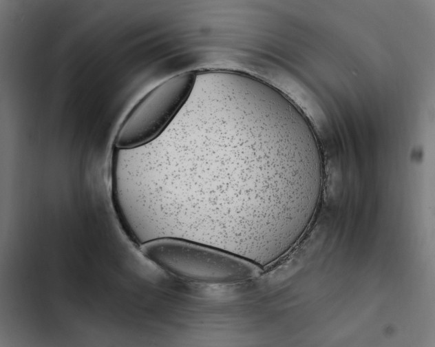 X0000103331084200809261155