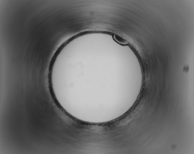 X0000103331085200809261155