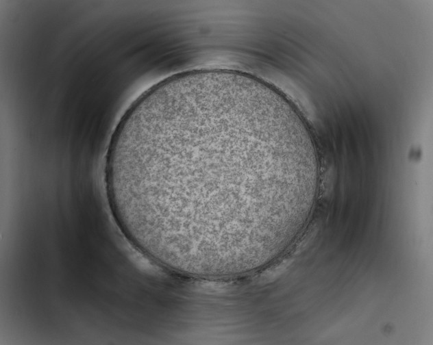 X0000103331086200809261155