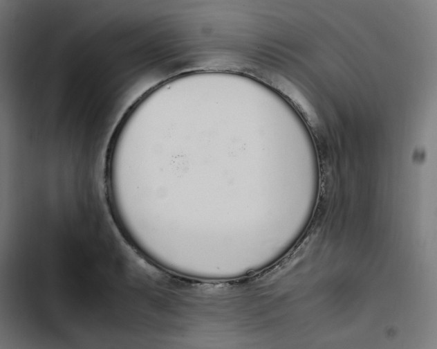 X0000103331087200809261155